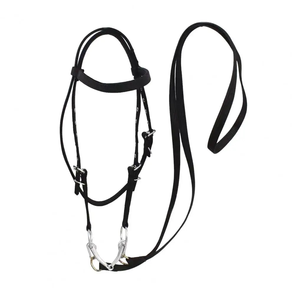 Adjustable Plush Padded Horse Halter - Training Equestrian Accessory with Buckle
