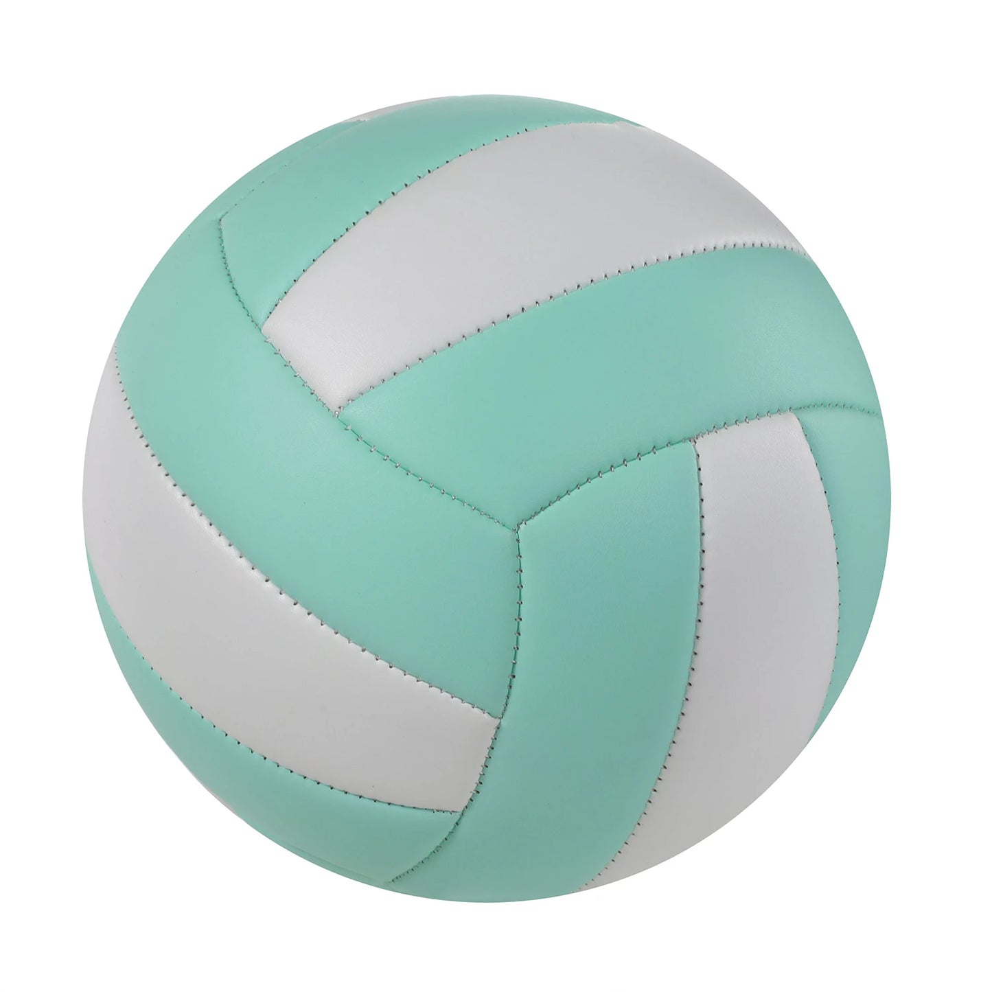 Professional Training Volleyball - Size 5