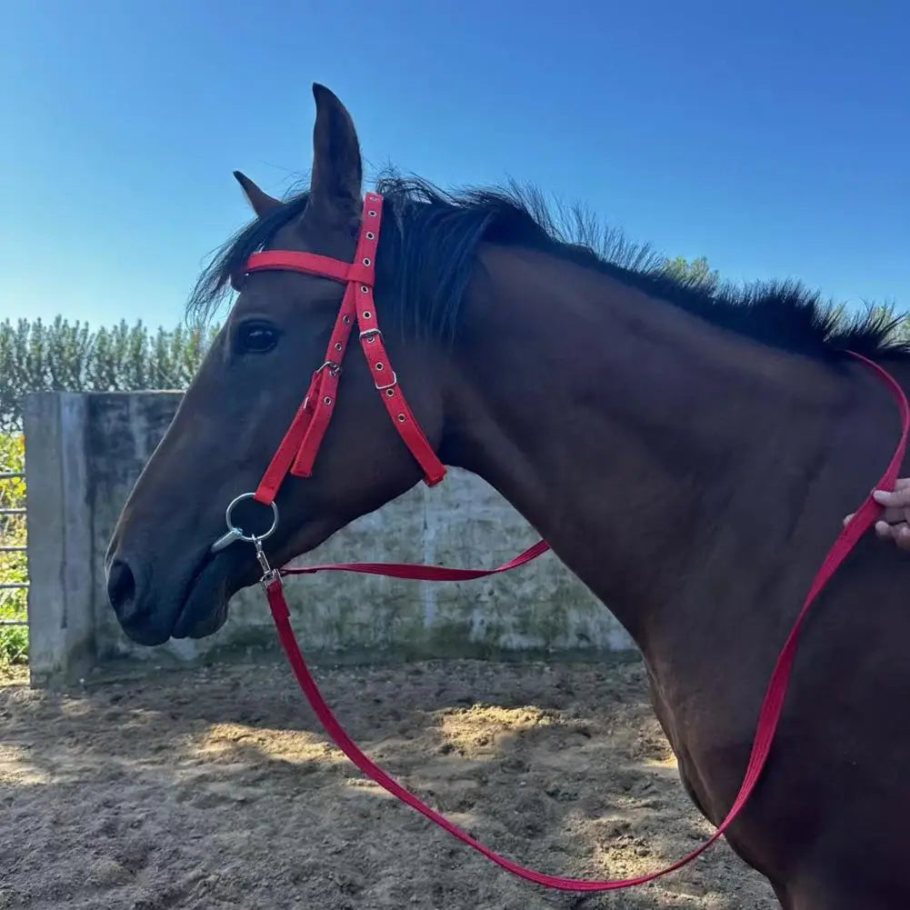 Adjustable Plush Padded Horse Halter - Training Equestrian Accessory with Buckle