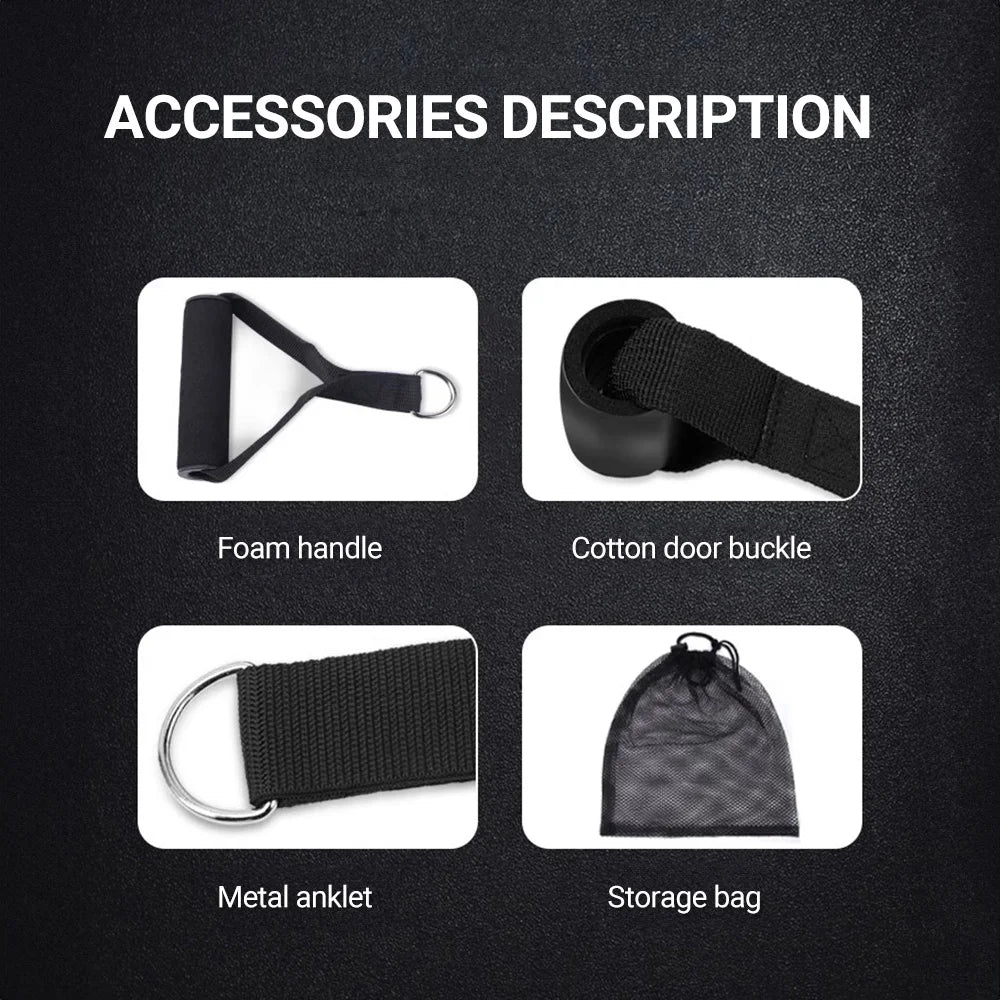 Premium Resistance Bands Set for Bodybuilding and Muscle Training