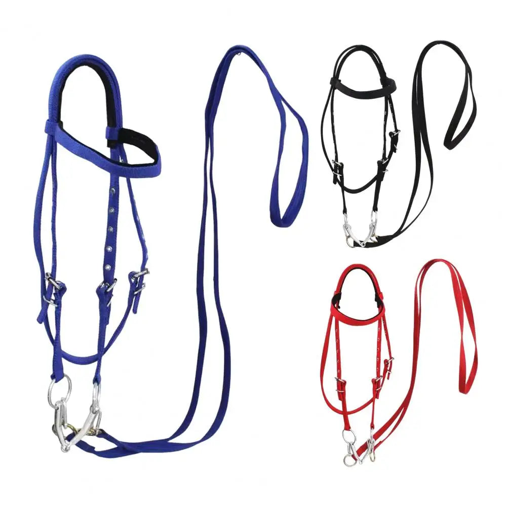 Adjustable Plush Padded Horse Halter - Training Equestrian Accessory with Buckle