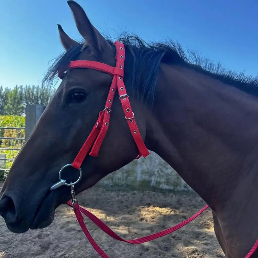 Adjustable Plush Padded Horse Halter - Training Equestrian Accessory with Buckle