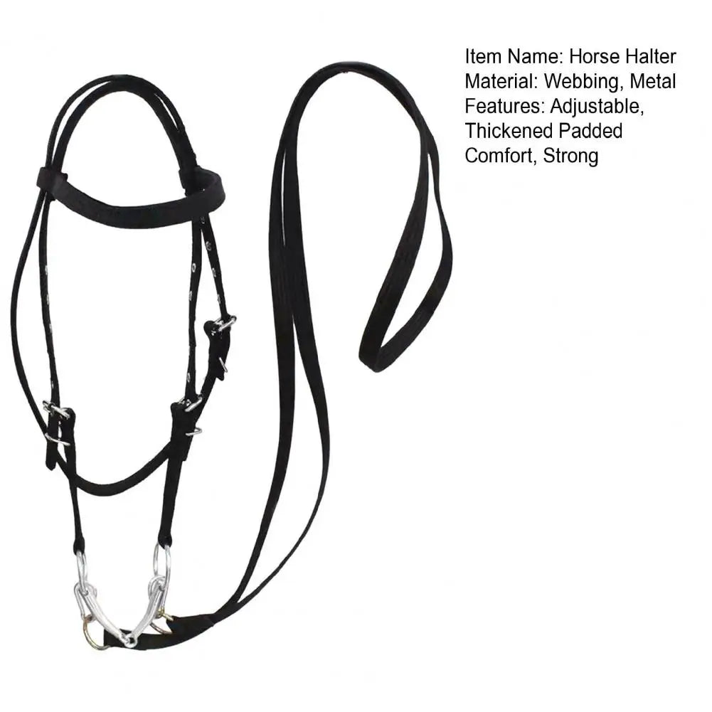 Adjustable Plush Padded Horse Halter - Training Equestrian Accessory with Buckle
