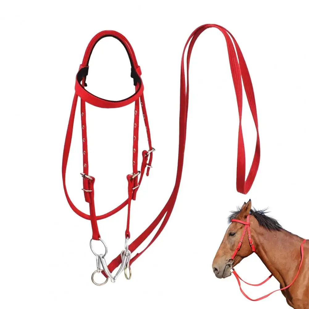 Adjustable Plush Padded Horse Halter - Training Equestrian Accessory with Buckle