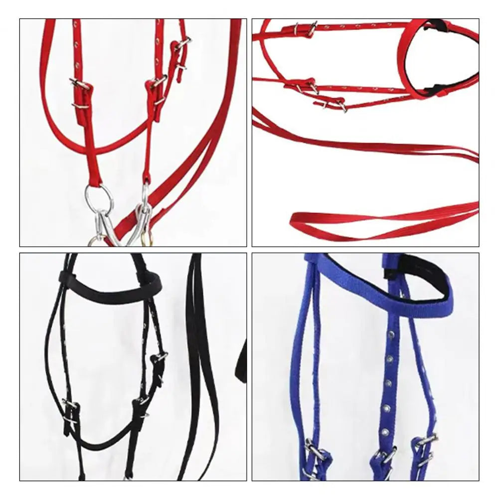 Adjustable Plush Padded Horse Halter - Training Equestrian Accessory with Buckle