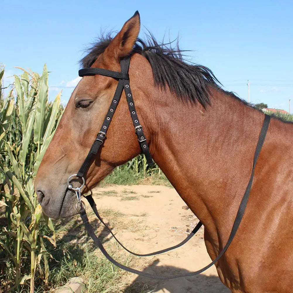 Adjustable Plush Padded Horse Halter - Training Equestrian Accessory with Buckle