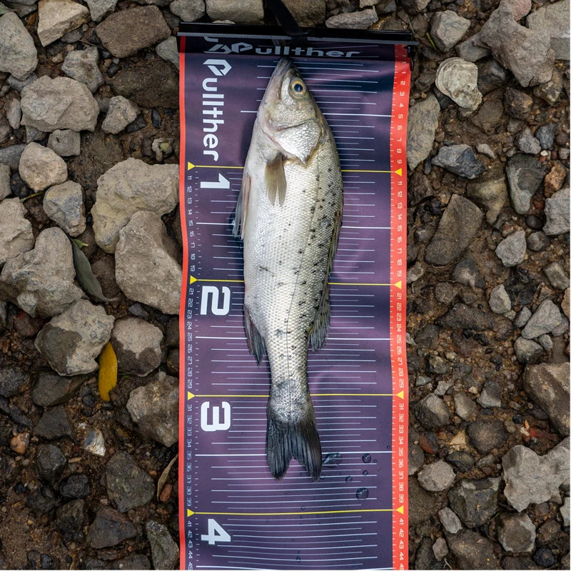 Foldable Waterproof Fishing Ruler 135cm/53in - PVC Fish Measuring Tape Sticker with Tackle Accessories
