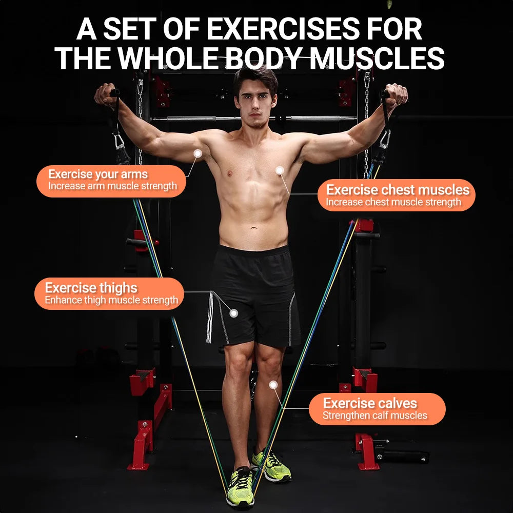 Premium Resistance Bands Set for Bodybuilding and Muscle Training