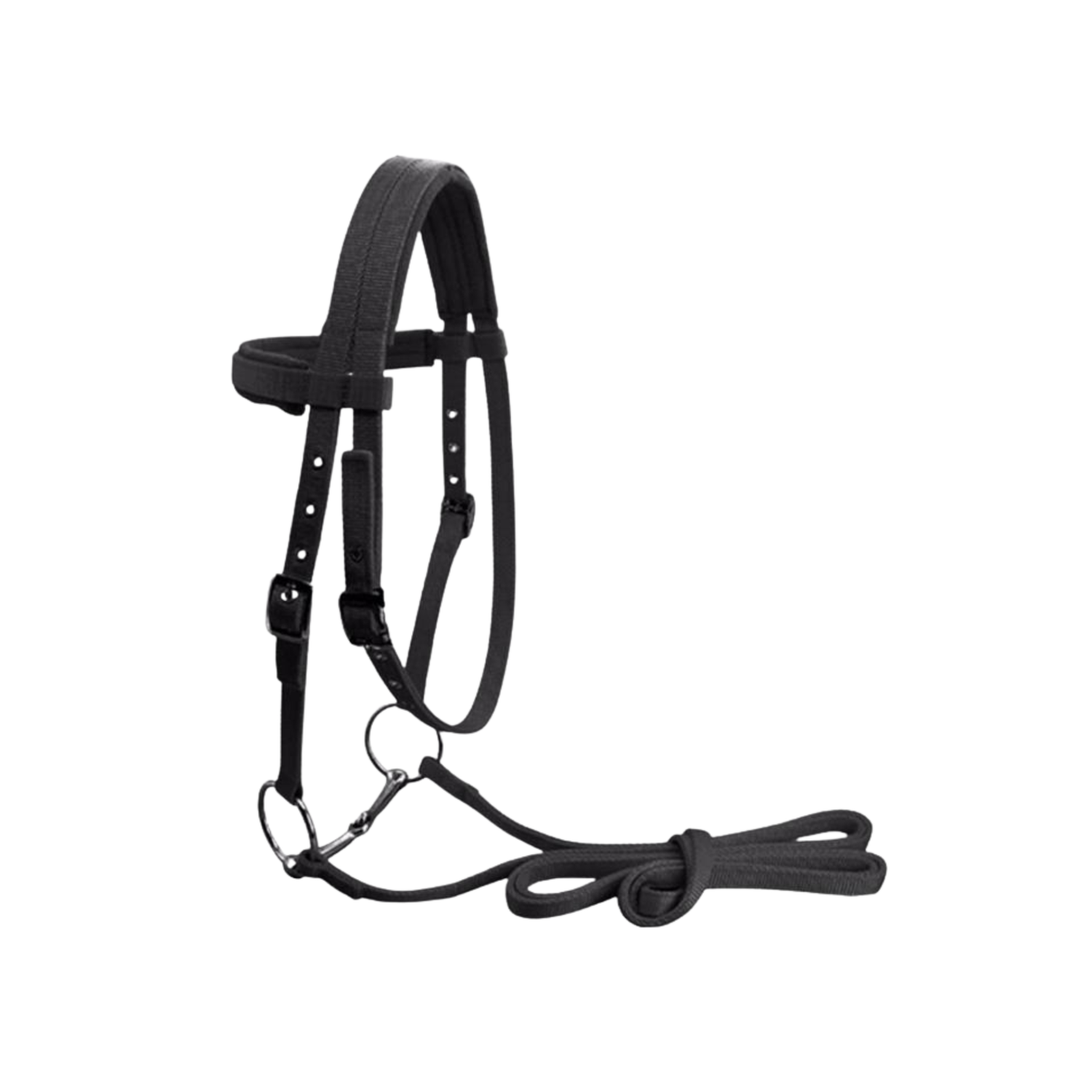 Equestrian Equipment