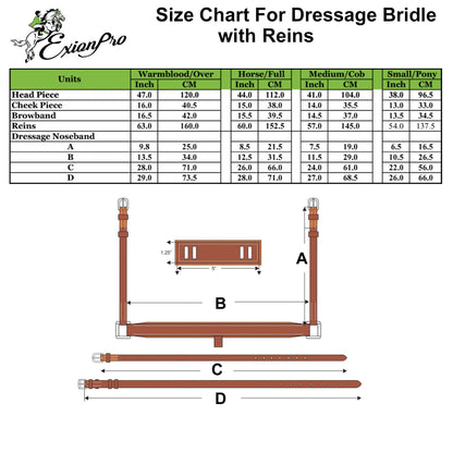 ExionPro Net Braided Browband & Dressage Bridle with Web Reins