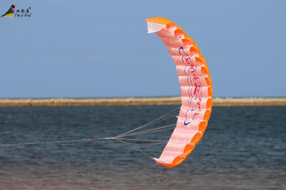 1.4m Dual Line Stunt Parafoil Kite - 140cm x 57cm - Composite Material - Ages 14+ - Unisex