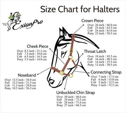 ExionPro Duo-Tone Leather Halter - Havana