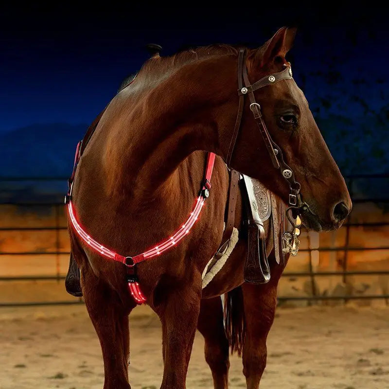 LED Horse Breastplate - USB Rechargeable Night Safety Harness with Flashing Light for Outdoor Riding