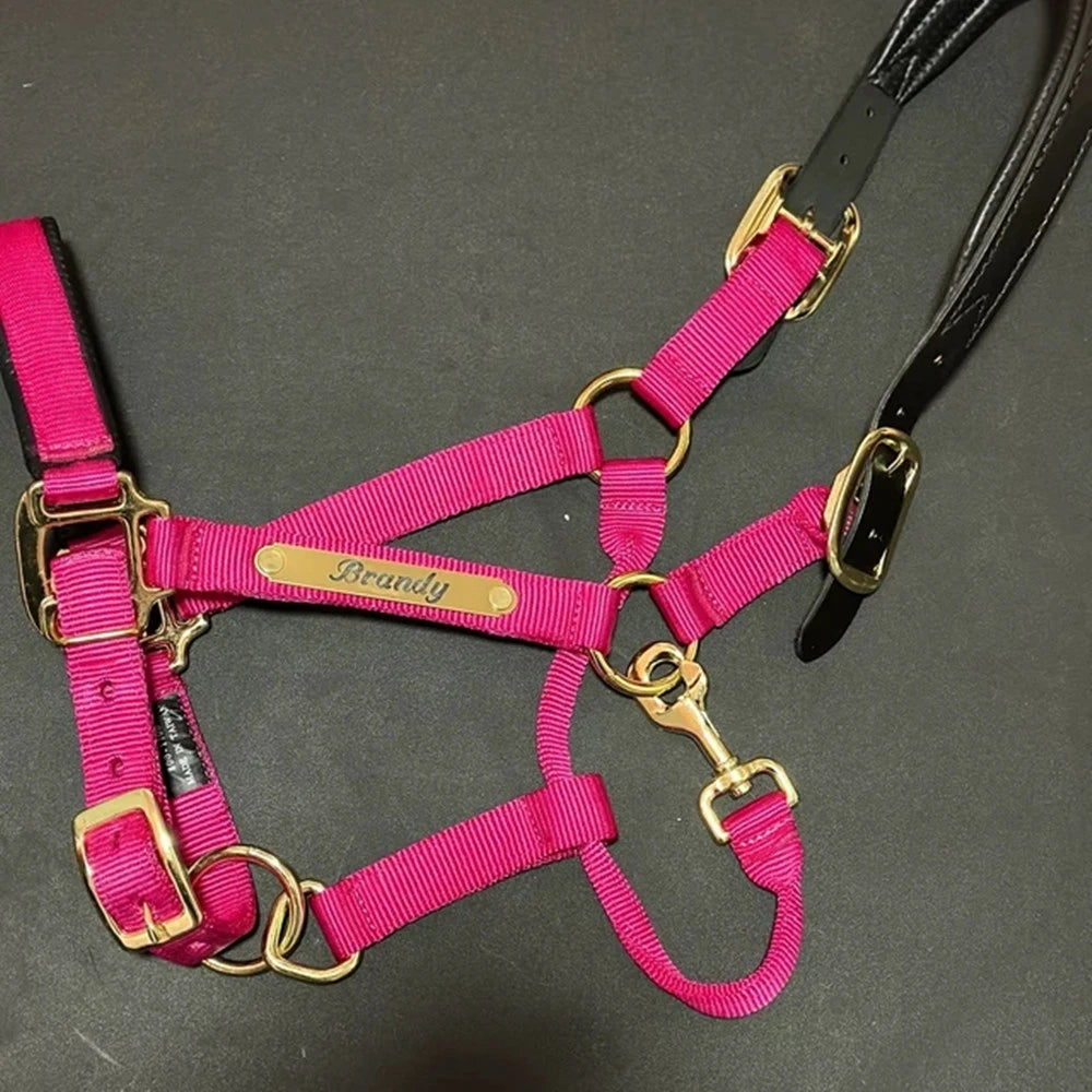 Custom Engraved Nameplate Set (2pcs) - Personalized Martingale Plates for Horse Bridles, Halters, Saddles & Dog Collars