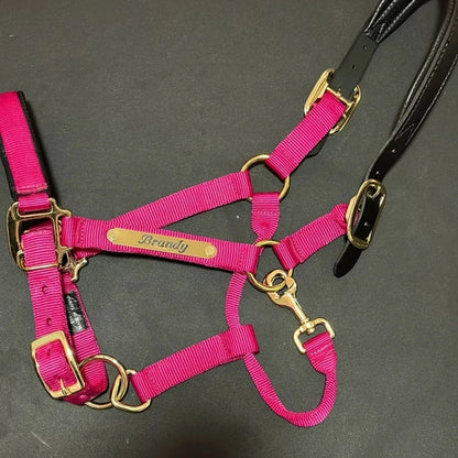 Custom Engraved Nameplate Set (2pcs) - Personalized Martingale Plates for Horse Bridles, Halters, Saddles & Dog Collars
