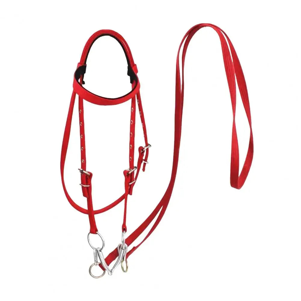 Adjustable Plush Padded Horse Halter - Training Equestrian Accessory with Buckle