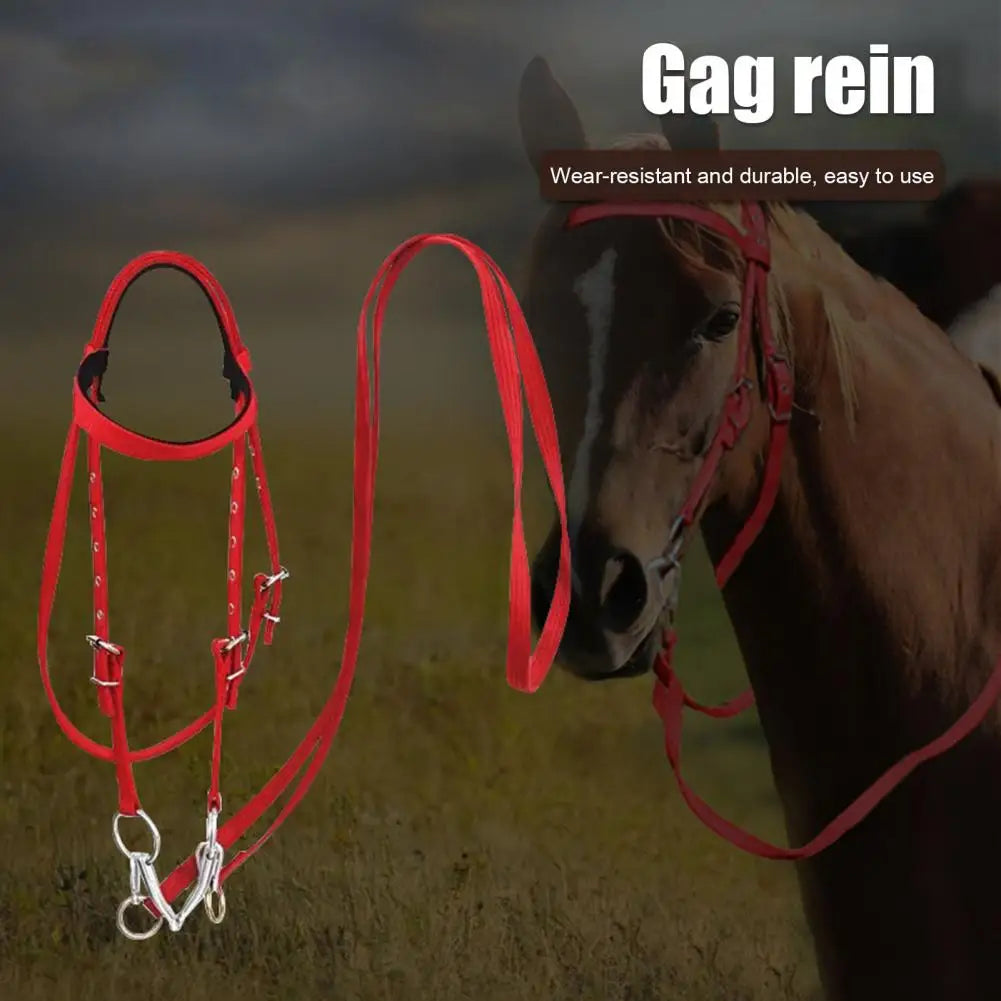 Adjustable Plush Padded Horse Halter - Training Equestrian Accessory with Buckle