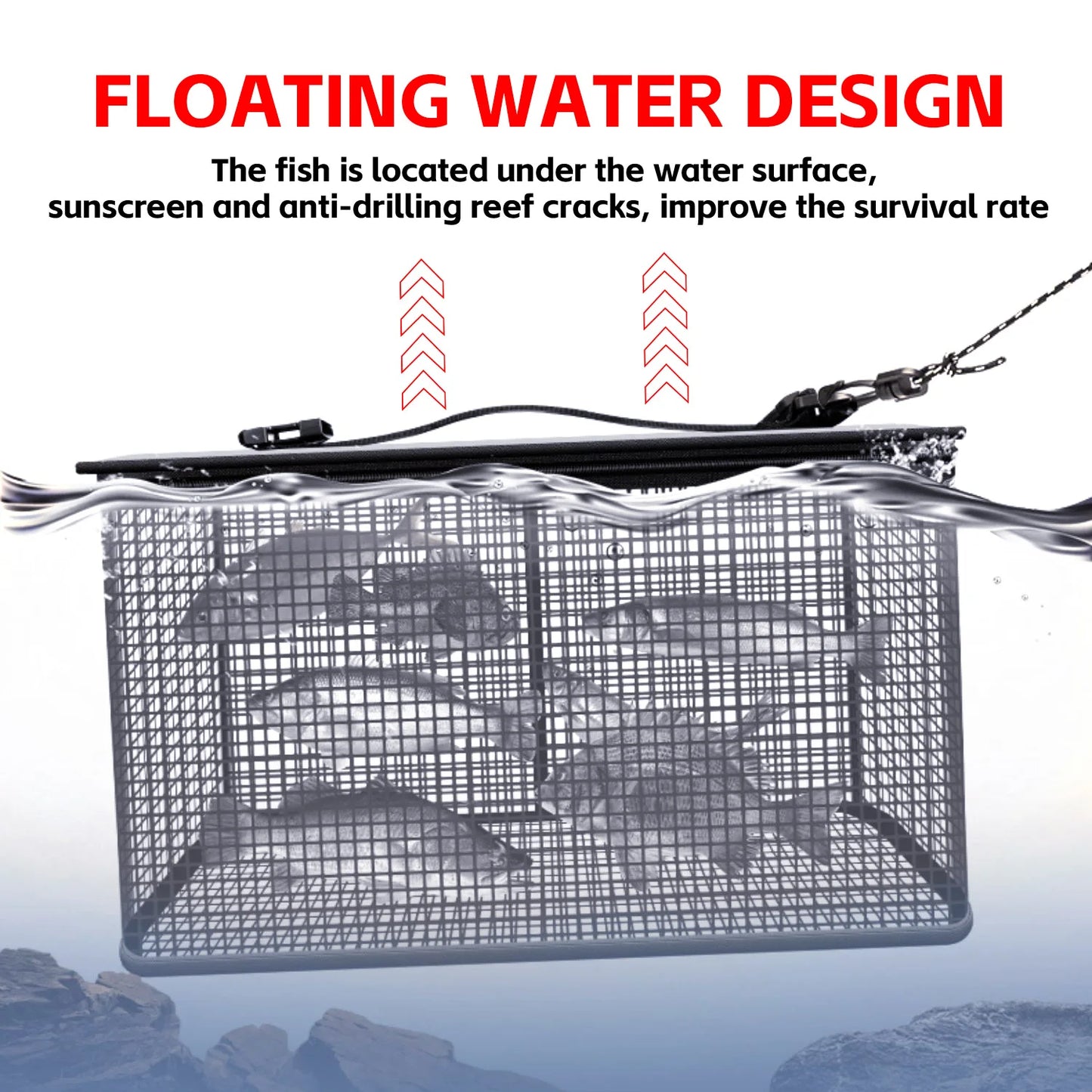 Foldable Fishing Cage Net - Collapsible Fish Trap for Carp, Shrimp, Crayfish & Lobster