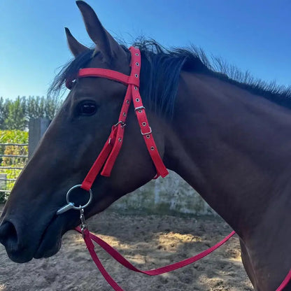 Adjustable Plush Padded Horse Halter - Training Equestrian Accessory with Buckle