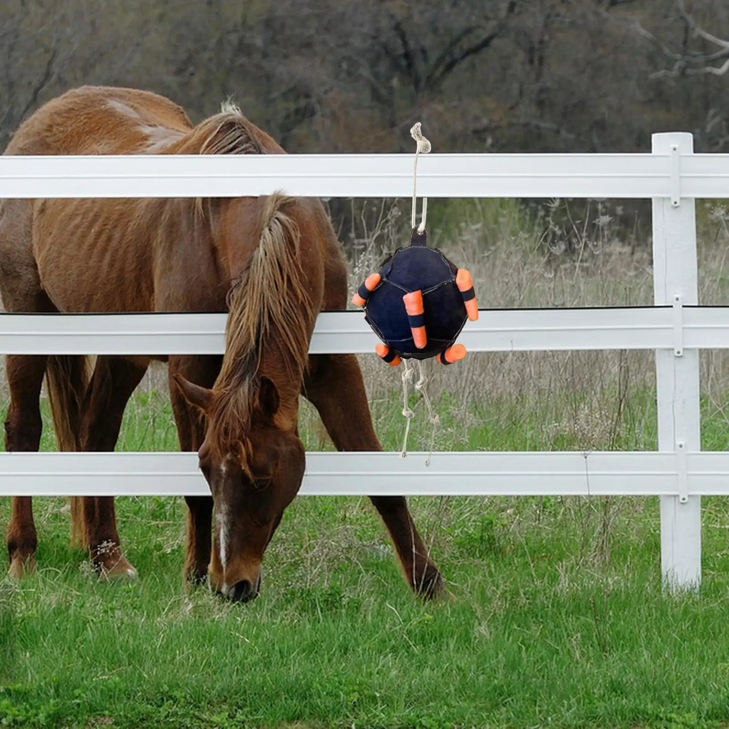 Hanging Hay Feeder Ball - Horse Treat Dispenser Toy for Stress Relief | Carrot Feeding Ball for Horses, Goats & Sheep