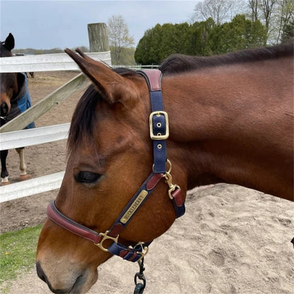 Custom Engraved Nameplate Set (2pcs) - Personalized Martingale Plates for Horse Bridles, Halters, Saddles & Dog Collars