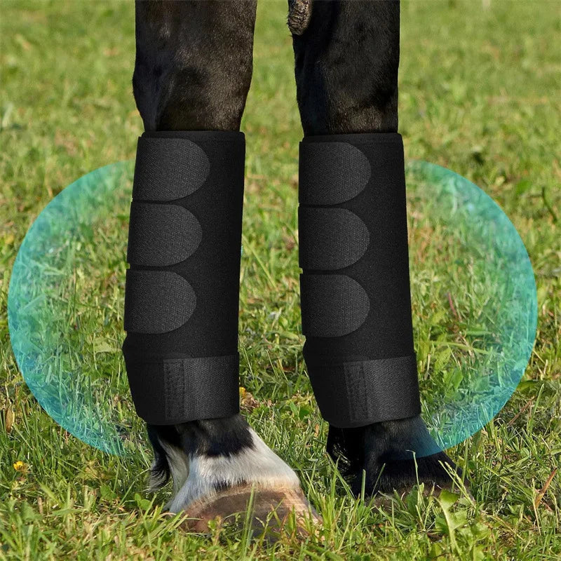 2PCS Equestrian Horse Leg Boots - Anti-Collision Racing Protection with Neoprene Material for Soft Shock Absorption