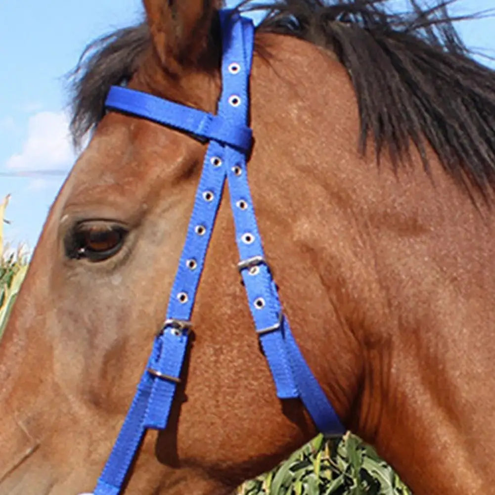 Adjustable Plush Padded Horse Halter - Training Equestrian Accessory with Buckle
