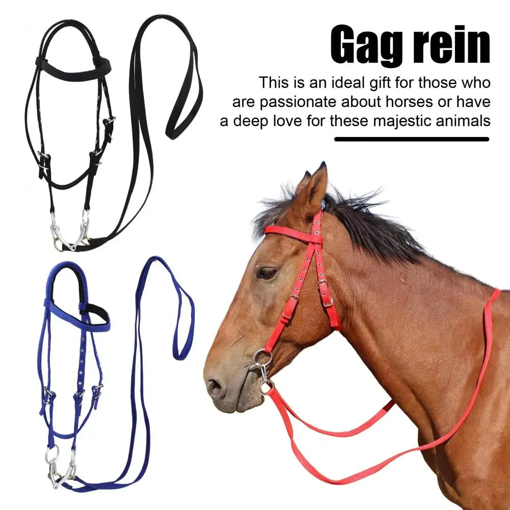 Adjustable Plush Padded Horse Halter - Training Equestrian Accessory with Buckle