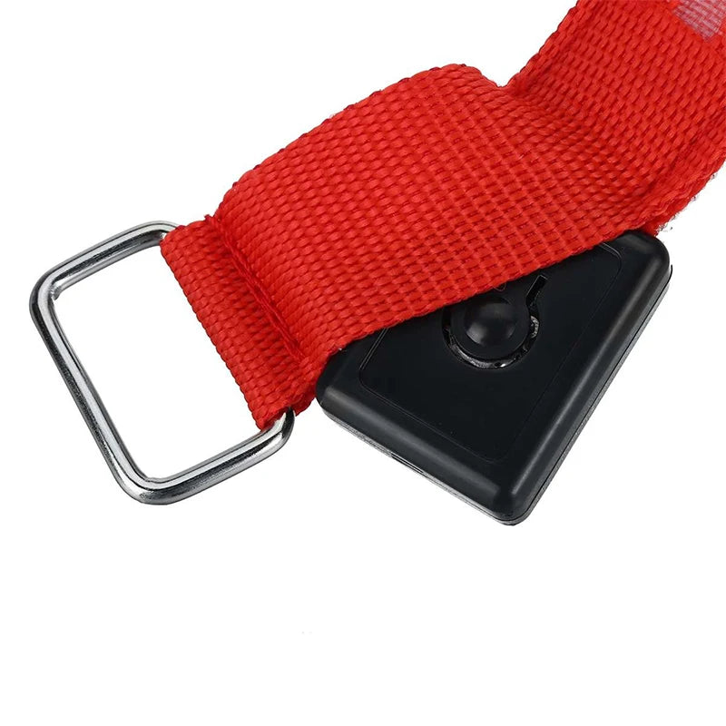 LED Horse Leg Safety Straps - 4 Piece Set for Night Riding