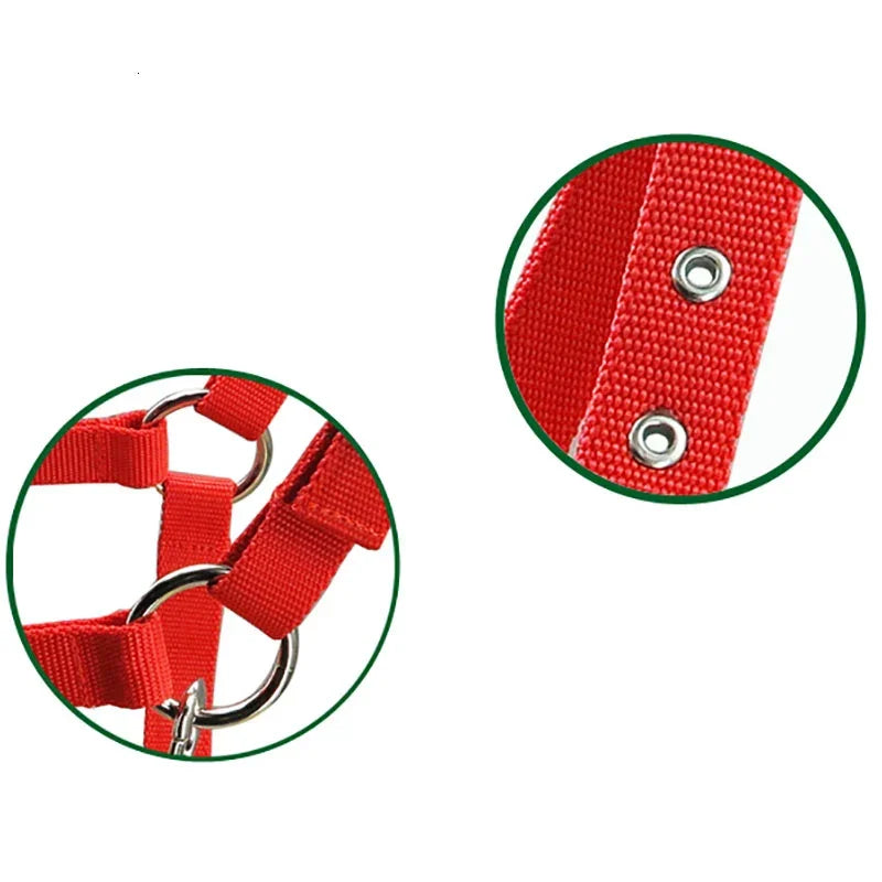 Adjustable Thickened Horse Halter - Equestrian Head Collar with Protective Strap for Stable and Riding