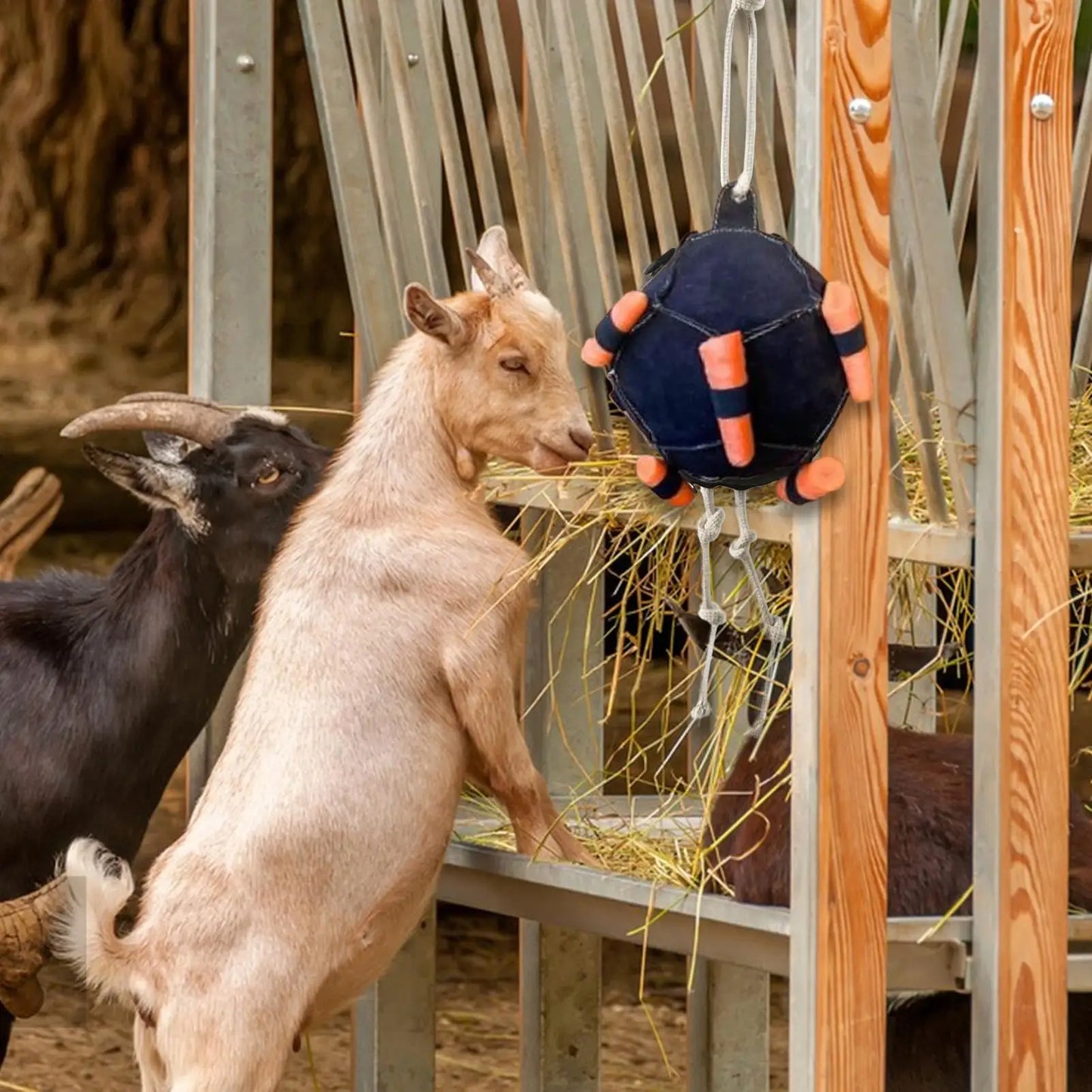 Hanging Hay Feeder Ball - Horse Treat Dispenser Toy for Stress Relief | Carrot Feeding Ball for Horses, Goats & Sheep