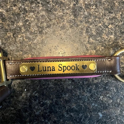 Custom Engraved Nameplate Set (2pcs) - Personalized Martingale Plates for Horse Bridles, Halters, Saddles & Dog Collars