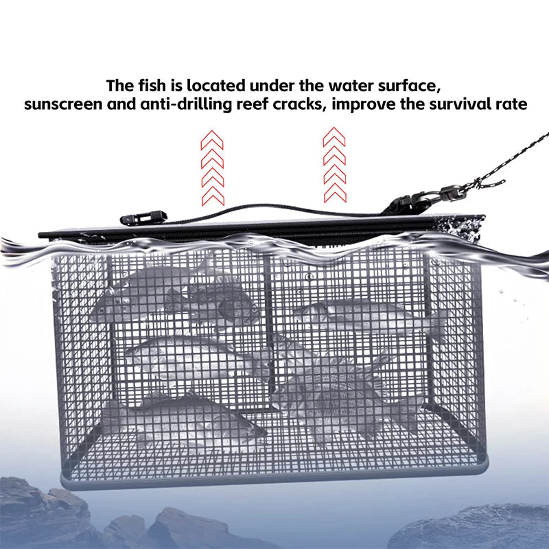 Foldable Fishing Cage Net - Collapsible Fish Trap for Carp, Shrimp, Crayfish & Lobster