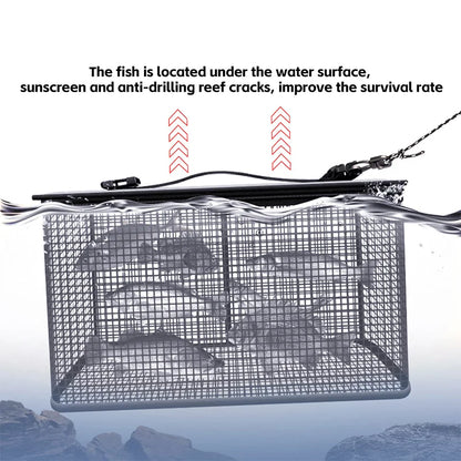 Foldable Fishing Cage Net - Collapsible Fish Trap for Carp, Shrimp, Crayfish & Lobster