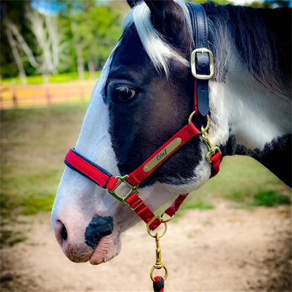 Custom Engraved Nameplate Set (2pcs) - Personalized Martingale Plates for Horse Bridles, Halters, Saddles & Dog Collars
